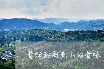 昔归和困鹿山的香味/2023041540583