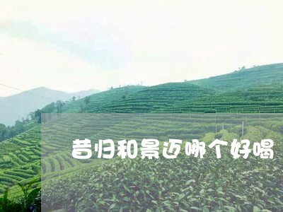 昔归和景迈哪个好喝/2023041445168