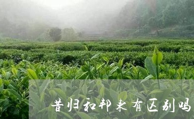 昔归和邦东有区别吗/2023041428481