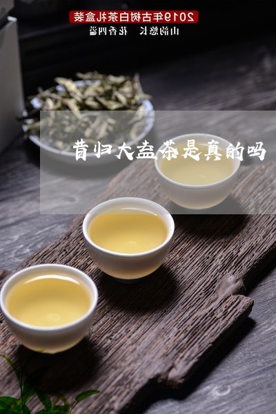 昔归大益茶是真的吗/2023032252714