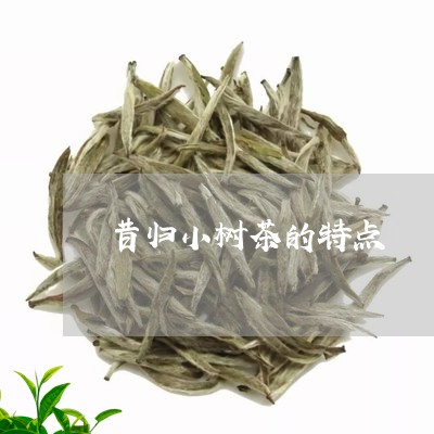 昔归小树茶的特点/2023032635157