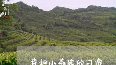 昔归小茶农的日常/2023032308470