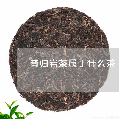 昔归岩茶属于什么茶/2023041554915