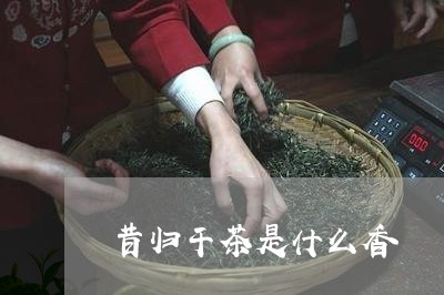 昔归干茶是什么香/2023032684826