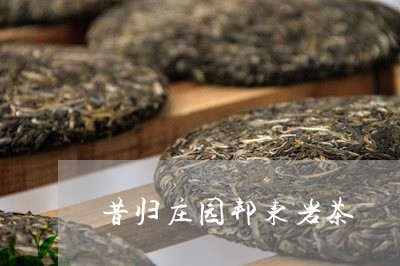 昔归庄园邦东岩茶/2023032337260