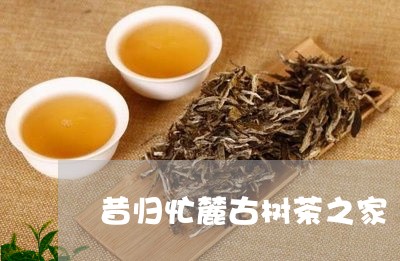 昔归忙麓古树茶之家/2023032295169