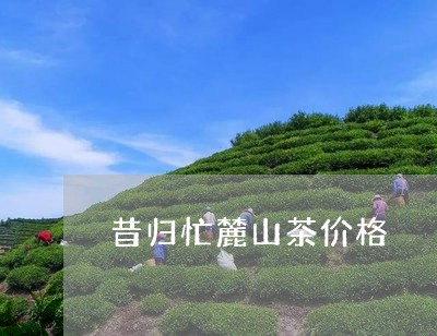 昔归忙麓山茶价格/2023032303704