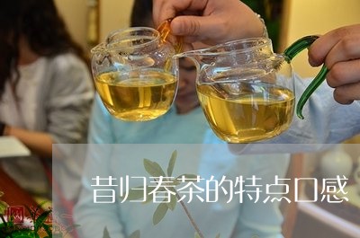 昔归春茶的特点口感/2023031849514