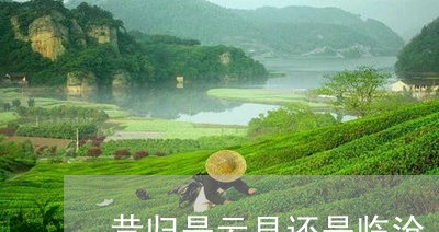 昔归是云县还是临沧/2023031896491