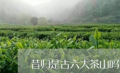 昔归是古六大茶山吗/2023031921726