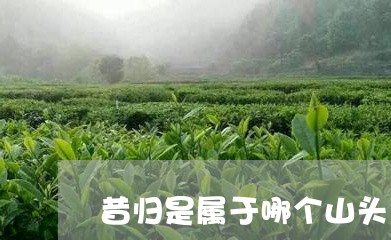 昔归是属于哪个山头/2023041426249