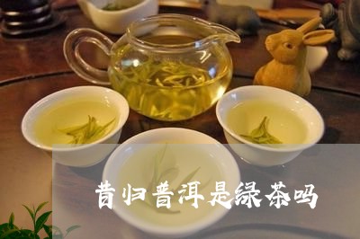 昔归普洱是绿茶吗/2023032346060