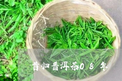 昔归普洱茶08年/2023031753737