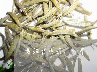 昔归普洱茶14年/2023031739371