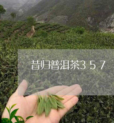 昔归普洱茶357/2023031869481