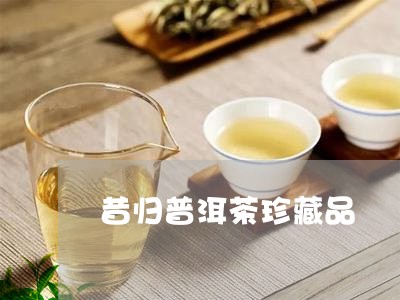 昔归普洱茶珍藏品/2023031769382