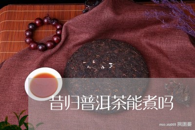 昔归普洱茶能煮吗/2023031735269