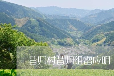 昔归村昔归组雷应明/2023041478160