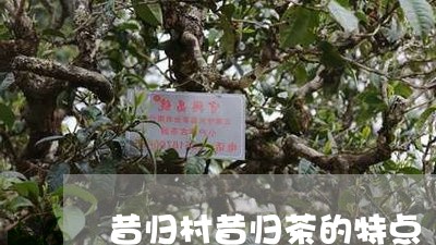 昔归村昔归茶的特点/2023032224048