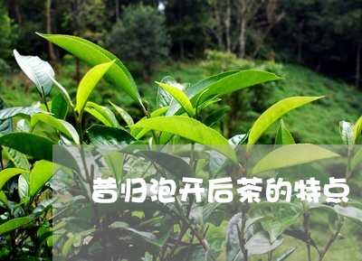 昔归泡开后茶的特点/2023032237249