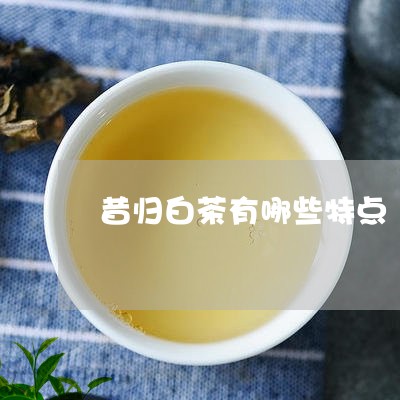 昔归白茶有哪些特点/2023031929593