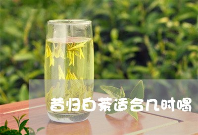 昔归白茶适合几时喝/2023041557058