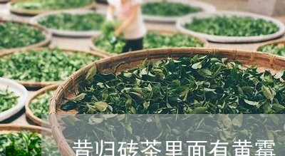 昔归砖茶里面有黄霉/2023041474847