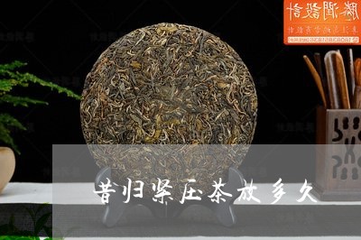 昔归紧压茶放多久/2023032679493