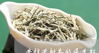 昔归苦树茶的保质期/2023032243047