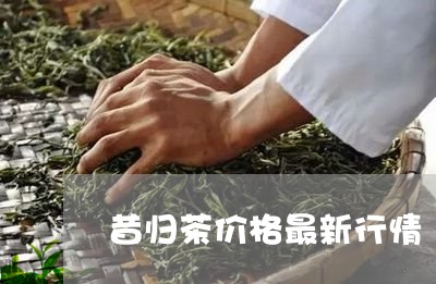 昔归茶价格最新行情/2023032260594