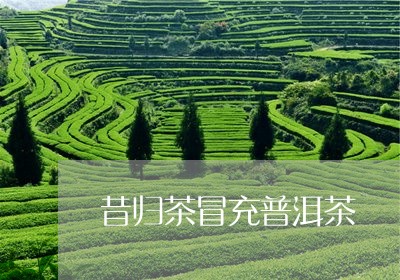 昔归茶冒充普洱茶/2023031783835