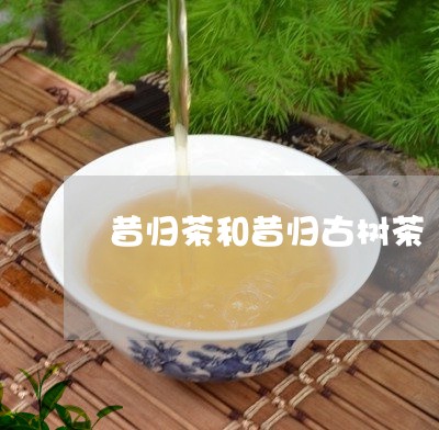 昔归茶和昔归古树茶/2023032250582