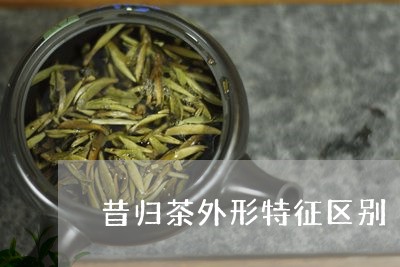 昔归茶外形特征区别/2023032235249