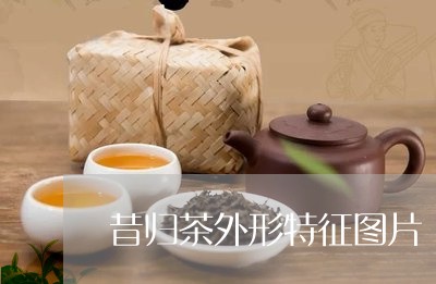 昔归茶外形特征图片/2023032267381