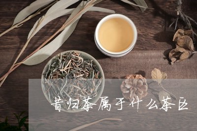 昔归茶属于什么茶区/2023032290383