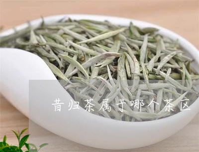 昔归茶属于哪个茶区/2023032287058