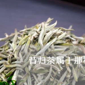 昔归茶属于那种茶/2023032581825