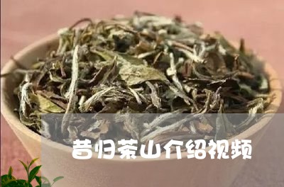 昔归茶山介绍视频/2023032337505