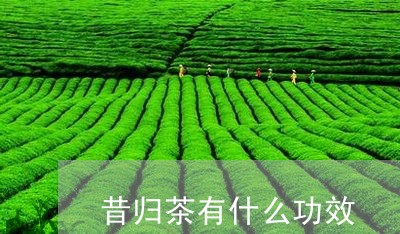 昔归茶有什么功效/2023032647714