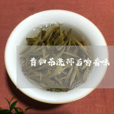 昔归茶洗杯后啥香味/2023032296949