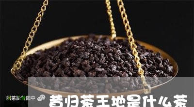 昔归茶王地是什么茶/2023032240404