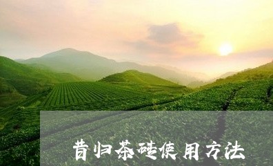 昔归茶砖使用方法/2023032328360