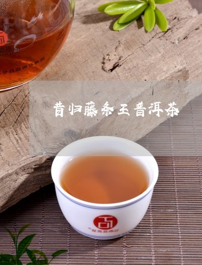 昔归藤条王普洱茶/2023041243959