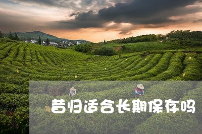 昔归适合长期保存吗/2023031871604