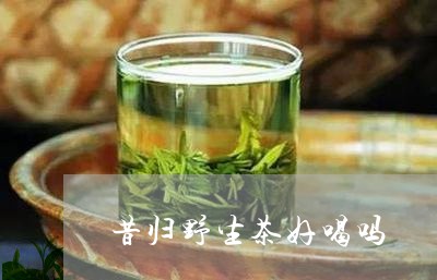 昔归野生茶好喝吗/2023032593946