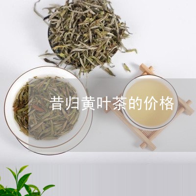 昔归黄叶茶的价格/2023032584947