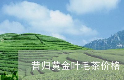 昔归黄金叶毛茶价格/2023031881714