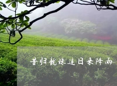 昔归龙珠连日来降雨/2023041404928