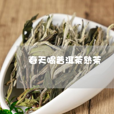 春天喝普洱茶熟茶/2023041117560