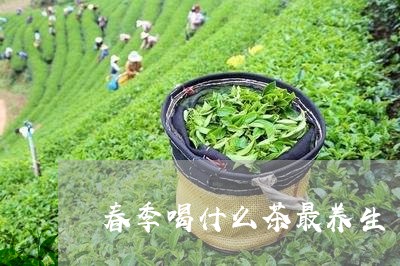 春季喝什么茶最养生/2023041526252